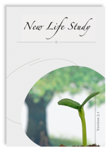 explore the Christian faith